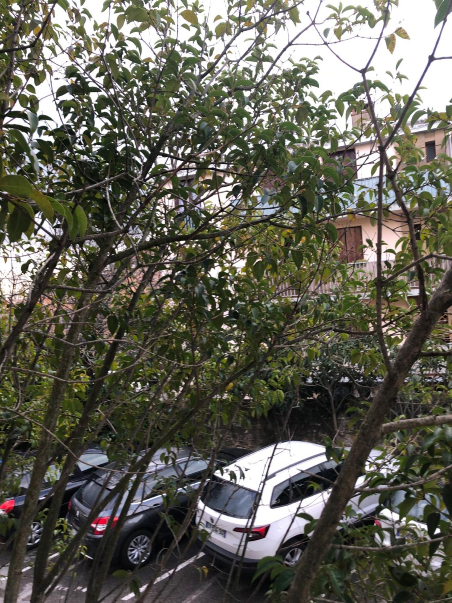 Logement Promenade De La Torse A Aix-En-Provence Bagian luar foto